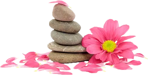 https://iconicbrownwax.com.au/wp-content/uploads/2024/09/Flower-and-Stone.webp